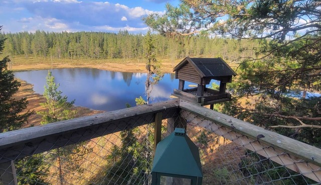 Fantastic Experiences, Wooden Cabin – A Serene Escape in Trysil Forest