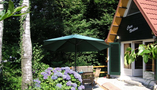 Fantastic holiday home above Lago Maggiore, fantastic garden, pool, grill