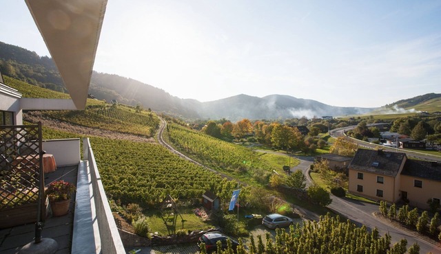 Fantastic Mosel view from the apartment "Pinot Noir Cabinet", near Cochem