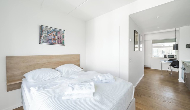 Fantastic Studio with balcony - 336
