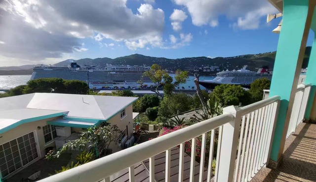 Fantastic! unit B 3-bed 3 1/2 bath house with AC in beautiful St. Thomas GROUPS!