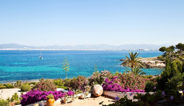 Fantastic Villa on the Sea, garden, terraces and direct access to the sea