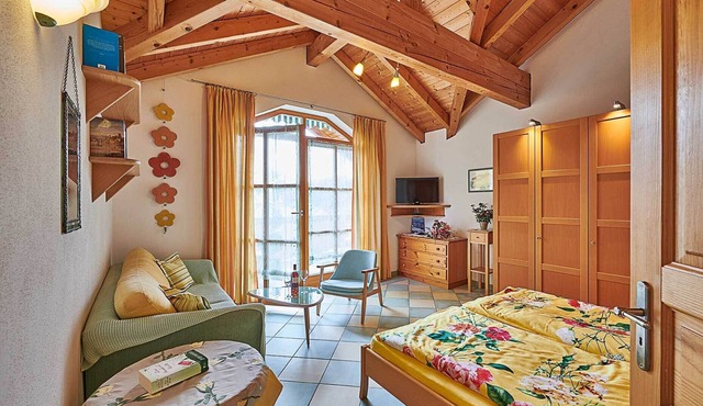 Far-reaching views & well-being Roof terrace with mountain panorama, exposed roof truss & pure nature