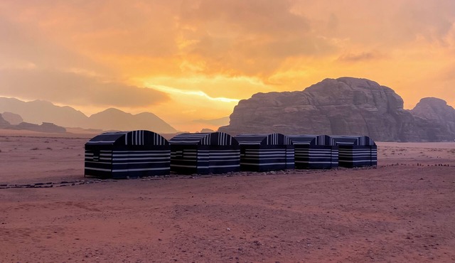 Fares Wadi Rum