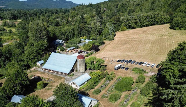 Farm and Forest Eco-Retreat Sanctuary Wild Thyme Farm