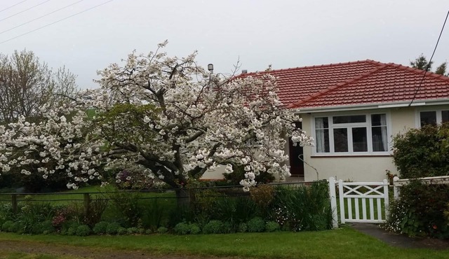 Farm cottage in peaceful setting