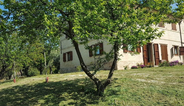 Farmhouse in the Conero Park