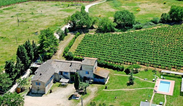 Fattoria Petraglia - Cedro by Interhome