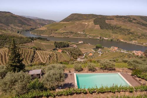 Feel Discovery Alvim's Douro