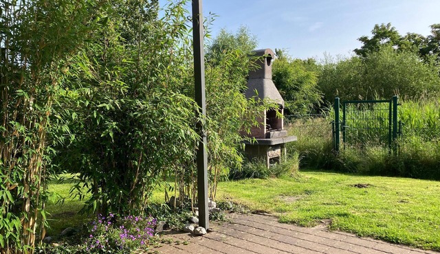 fenced house with garden