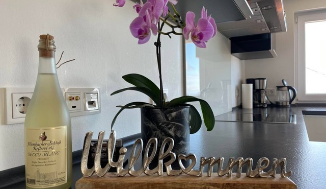 Ferienwohnung im Seminargarten - Appartement/fewo, Dusche und Bad, WC, Nichtraucher