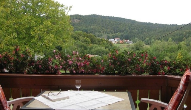 Ferienwohnung/app. für 2 Gäste mit 45m² in Dachsberg