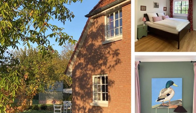 Ferienhaus Bothmer