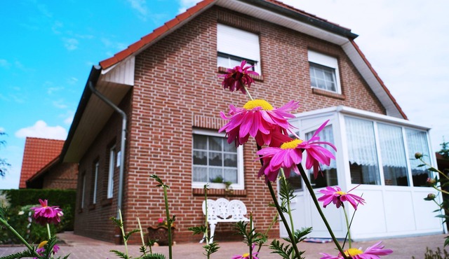 Ferienhaus Kirschblüte, 55182 - Ferienhaus