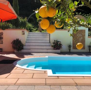 Ferienhaus mit Pool - Pension im Seußlitzer Grund