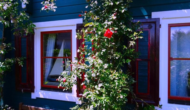Ferienhaus mit Sauna und Whirlpool