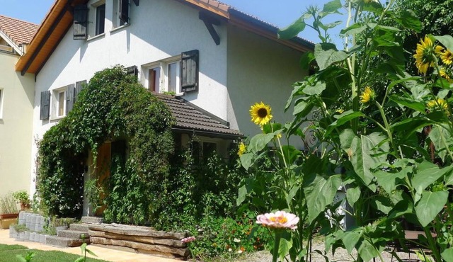 Ferienhaus Oase am Mühlebach by Interhome