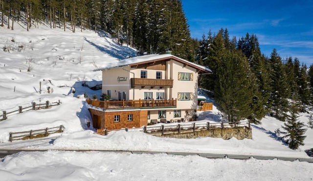 Ferienhaus Olpererblick