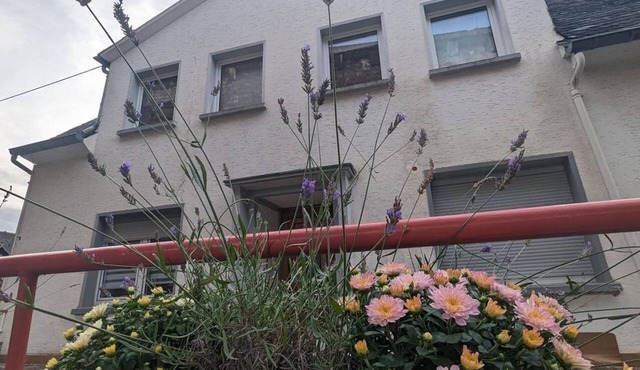 Ferienhaus "silent River-mosel - Ferienhaus, Dusche Oder Bad, WC
