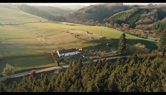 Ferienhaus Waldglück