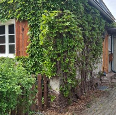 Ferienhaus Witta