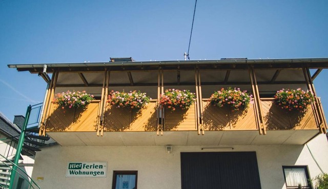 Ferienweingut Hammes - 4-bed apartment