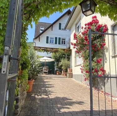 Ferienweingut Schlägel