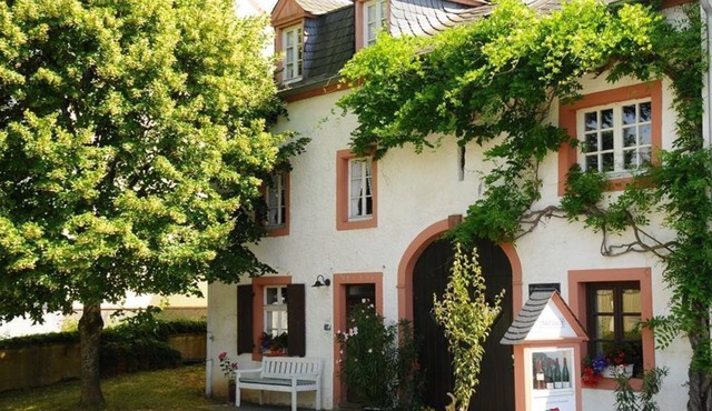 Ferienweingut Willems-Willems - Holiday apartment