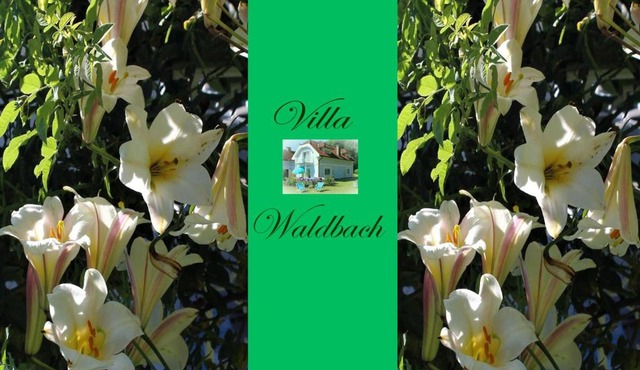 Ferienwohnung am Wörthersee Villa Waldbach