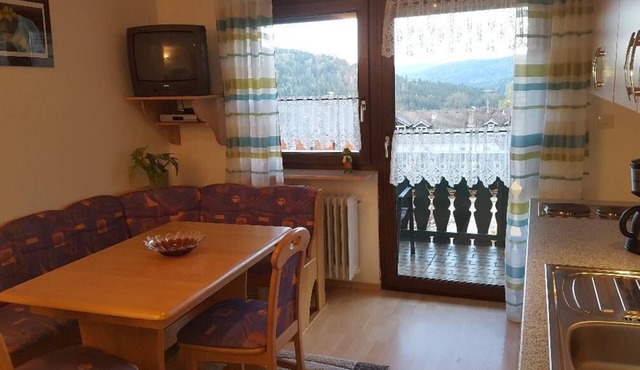 Ferienwohnung im Bayerischen Wald mit Blick auf den großen Arber.