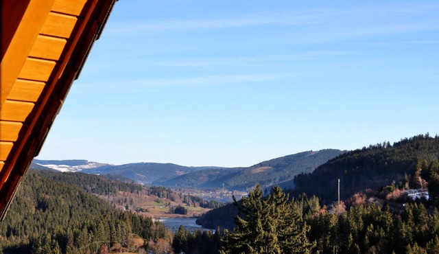 Ferienwohnung/app. für 3 Gäste mit 39m² in Feldberg