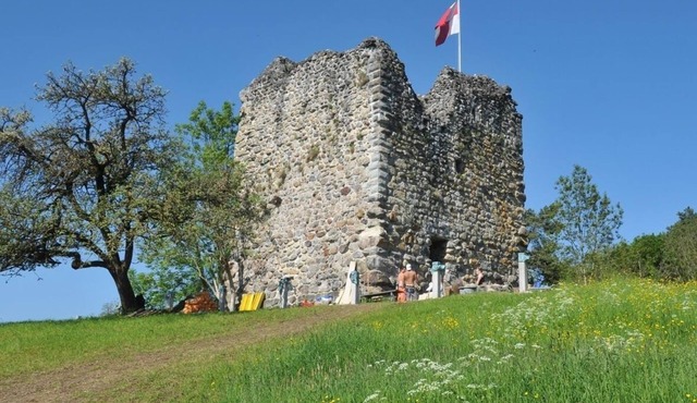 Ferienwohnung/app. für 4 Gäste mit 90m² in Kradolf-schönenberg