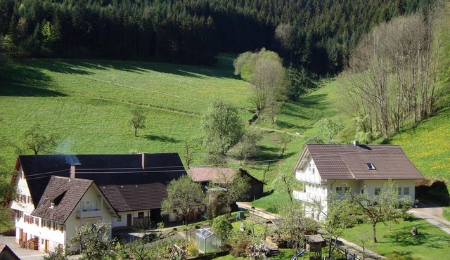Ferienwohnung 1, 45qm, 1 Schlafzimmer, max. 4 Personen