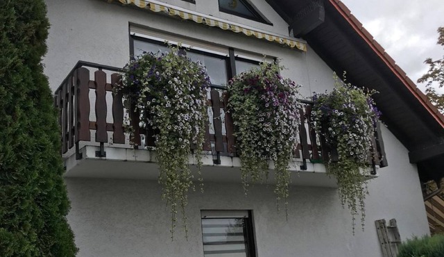 Ferienwohnung am Weinberg - Holiday apartment with terrace in the garden