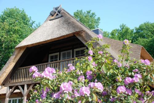 Ferienwohnung am Eichenpark, Lüneburger Heide