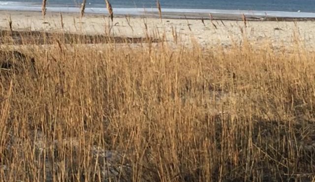 Ferienwohnung an der Ostsee bei Laboe