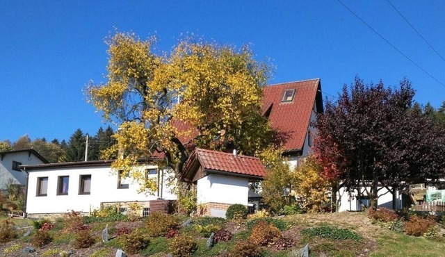 Ferienwohnung/app. für 4 Gäste mit 53m² in Zwota