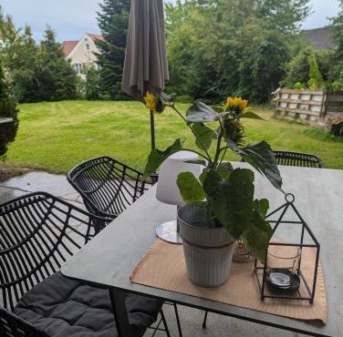 Ferienwohnung Sperber