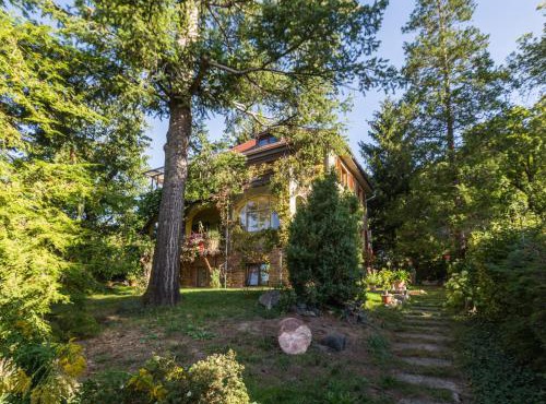Ferienwohnung Dresden-Pillnitz - Elbhang-Villa - "Am Zuckerhut"