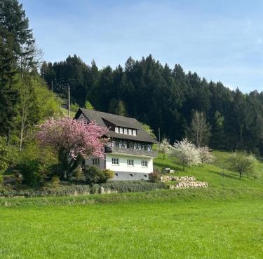 Ferienwohnung Hesselbach
