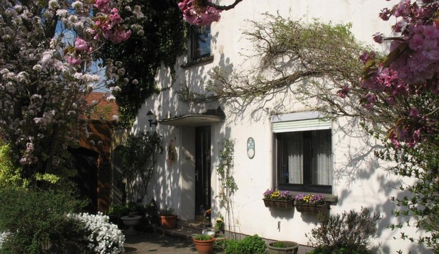 Ferienwohnung Kirschblüte
