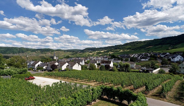 Ferienwohnung "laurentiusblick" mit Panoramablick in den Weinbergen von Leiwen