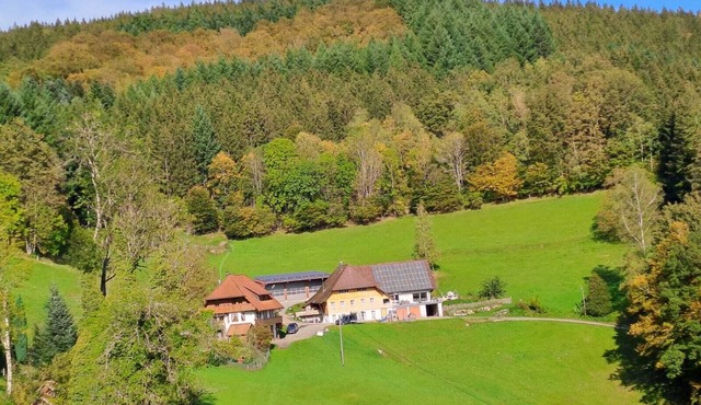 Ferienwohnung mit ca. 100qm, 2 bis 3 Schlafzimmer, für maximal 8 Personen