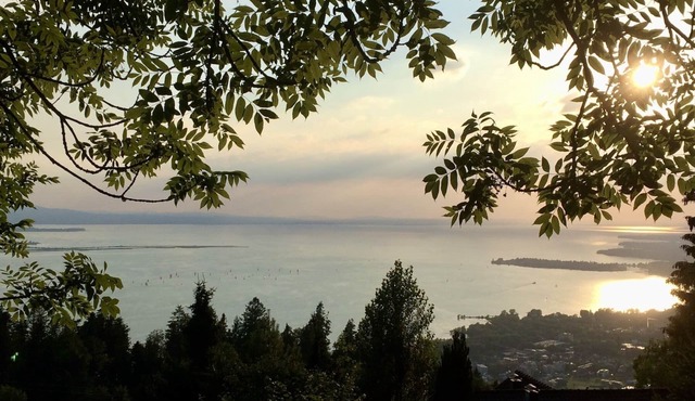 Ferienwohnung Mittendrin - Zwischen Allgäu und Bodensee