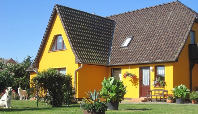 Ferienwohnung mit Garten in Zweedorf