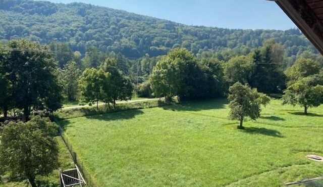 Ferienwohnung mit Gartenblick