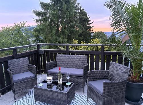 Ferienwohnung mit Schlösserblick in Dresden I große Dachterrasse I Parkplatz kostenfrei
