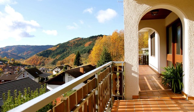 Ferienwohnung mit Sonnenterrasse und Kamin, 81qm, 1 Schlafzimmer, max. 4 Personen
