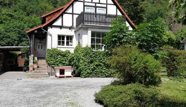 Ferienwohnung Natur pur Mühlental Wernigerode - Ferienwohnung Natur pur