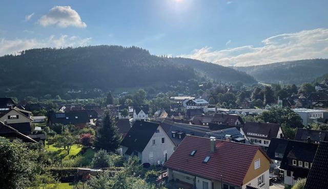 Ferienwohnung Panoramablick